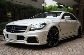 WALD Black Bison フルキット取り付け ベンツW218 CLS350