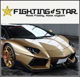 fightingstar